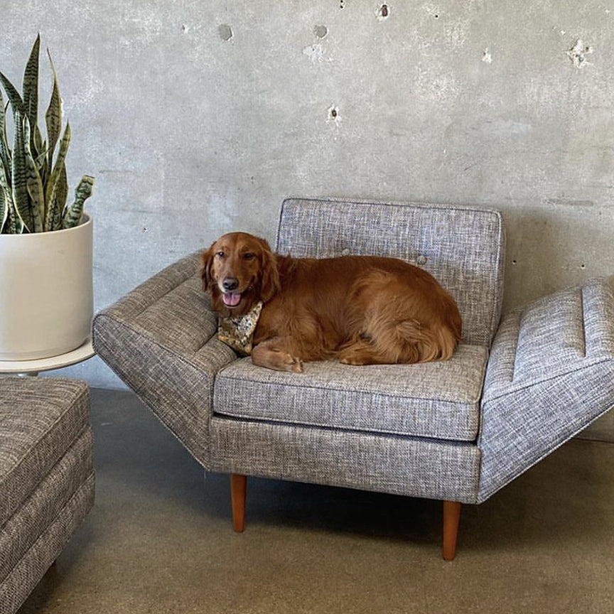 Desmond Chair